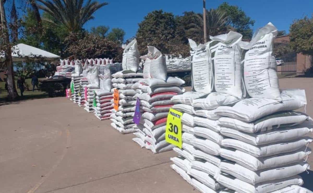 Productores de Sinaloa en riesgo de perder Fertilizantes del Bienestar