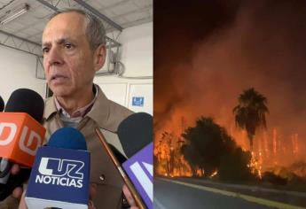 Grupo de jóvenes pirómanos, presuntos responsables de incendios de palmeras en Los Mochis