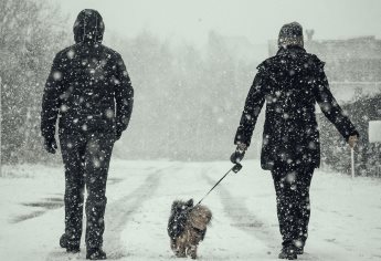 Se esperan nevadas por el frente frío en estas zonas de México