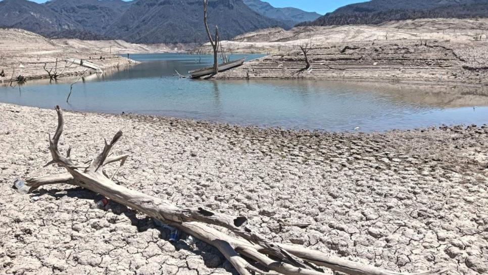 En México 63 presas registran niveles críticos de almacenamiento de agua, entre ellas una de Sinaloa