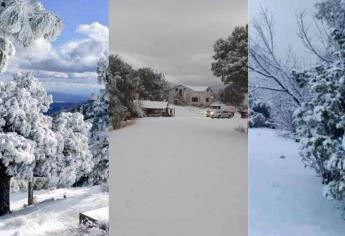 Nevada en Sonora: así luce la sierra de Yécora, todo un hermoso paisaje invernal | VIDEO