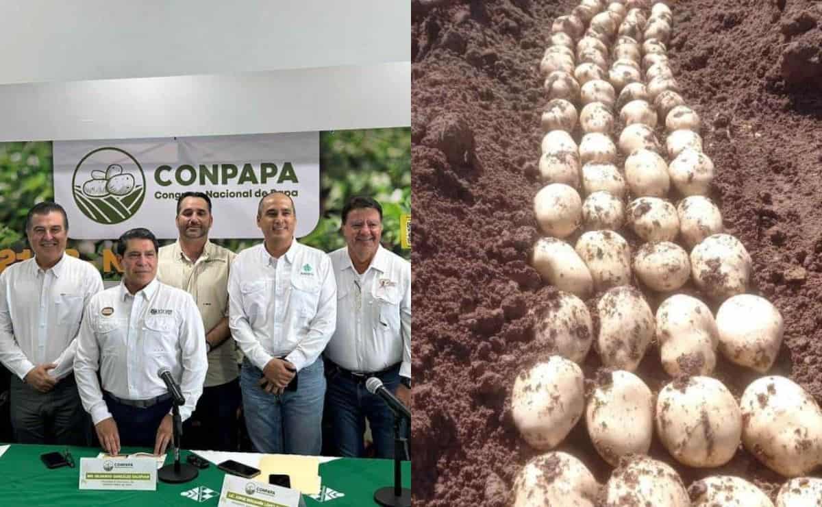 Conpapa Los Mochis 2024: ¿cuándo inicia y qué expositores tendrá este evento?