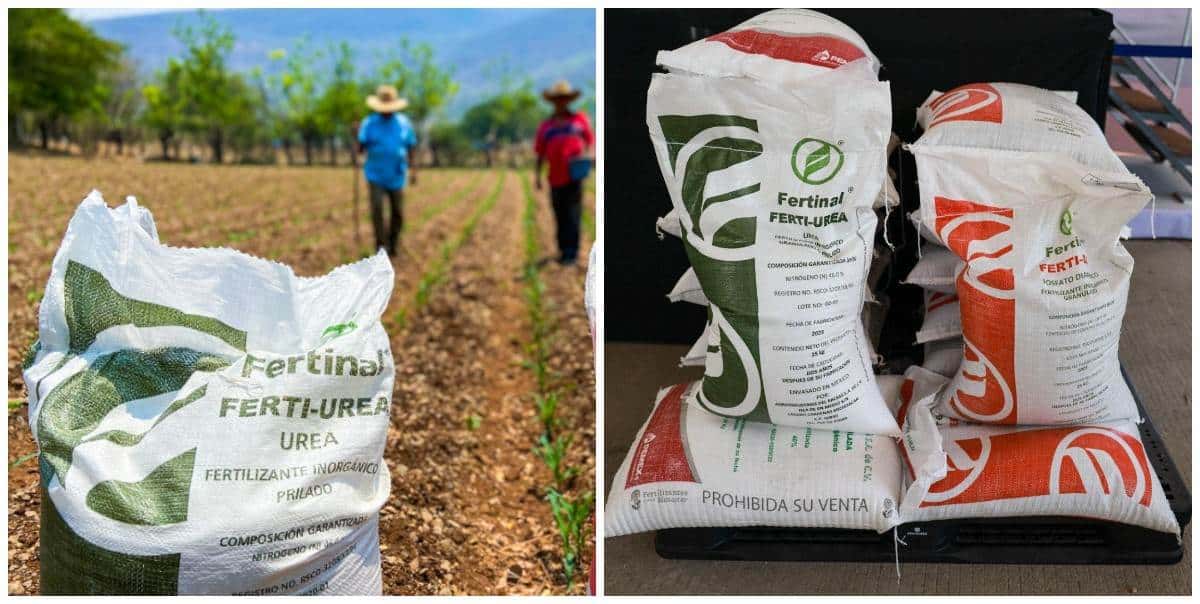 Selgamex: ¿hasta cuándo tienen los productores de Sinaloa para recoger fertilizantes?