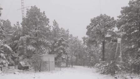 Frente frío bajará aún más las temperaturas en México: se esperan hasta -15°C