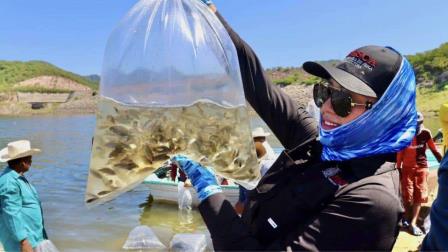 250 pescadores de Choix se han visto afectados por la sequía en la presa Huites