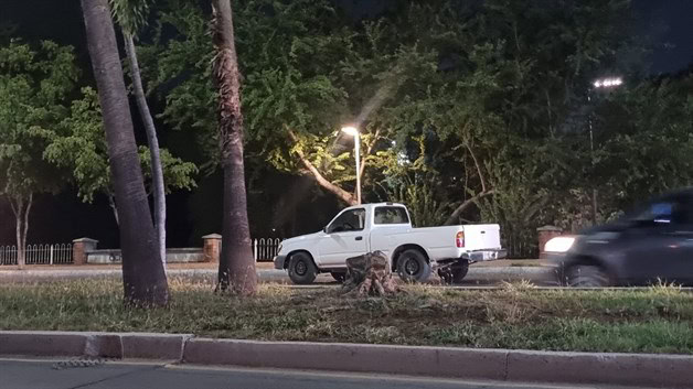 Imagen Placeholder Imagen Placeholder