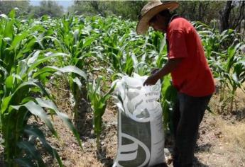 SEGALMEX identifica compradores ilegales del Fertilizante para el Bienestar en Sinaloa