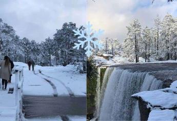 Mexiquillo, Durango, un paraíso donde puedes ver la nieve y está muy cerca de Mazatlán