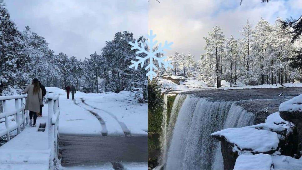 Mexiquillo, Durango, un paraíso donde puedes ver la nieve y está muy cerca de Mazatlán