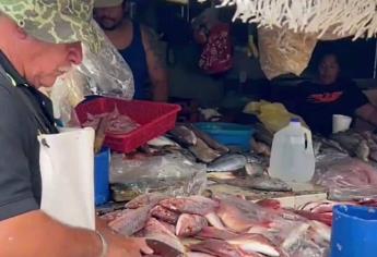 En este mercado de Mazatlán puedes encontrar el marisco más fresco, como recién sacado del mar