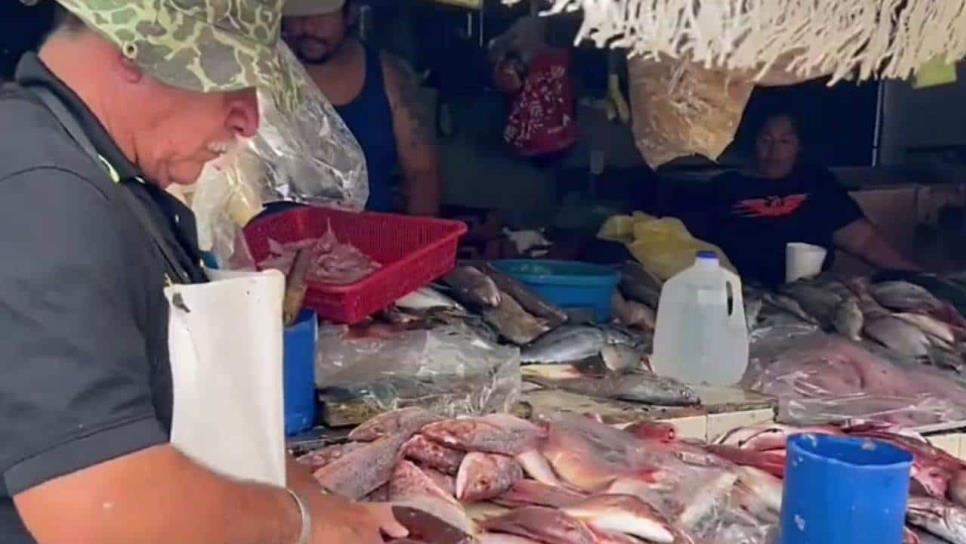 En este mercado de Mazatlán puedes encontrar el marisco más fresco, como recién sacado del mar