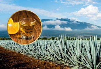 Ruta del mezcal: ¿Ya la conoces?, ¿Dónde queda?