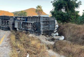 Vuelca tractocamión cargado de harina de pescado en la salida norte de Mazatlán