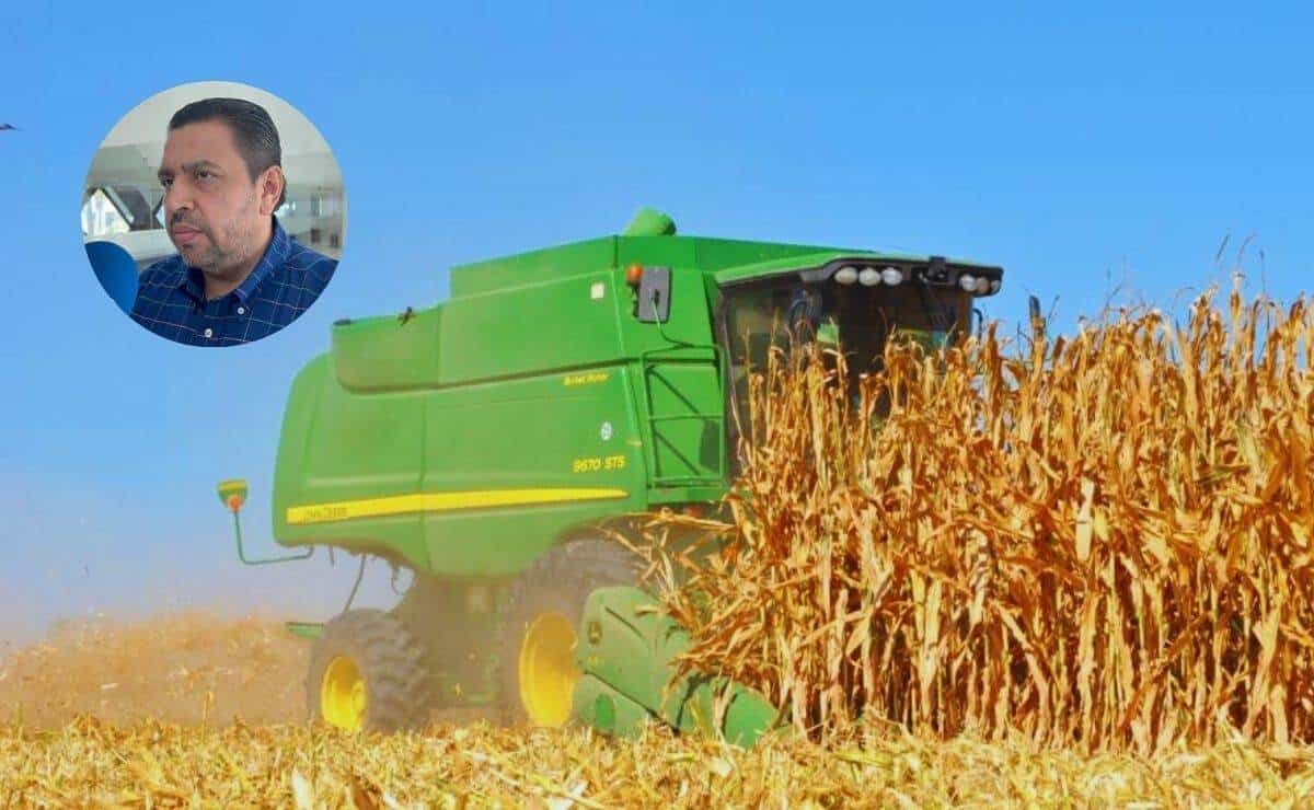 Ismael Bello asegura que en Sinaloa el campo no está abandonado