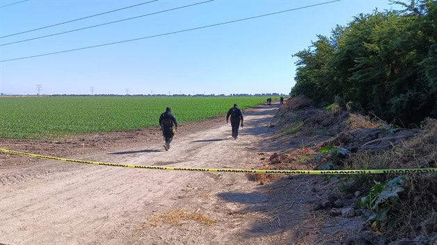 Imagen Placeholder Imagen Placeholder