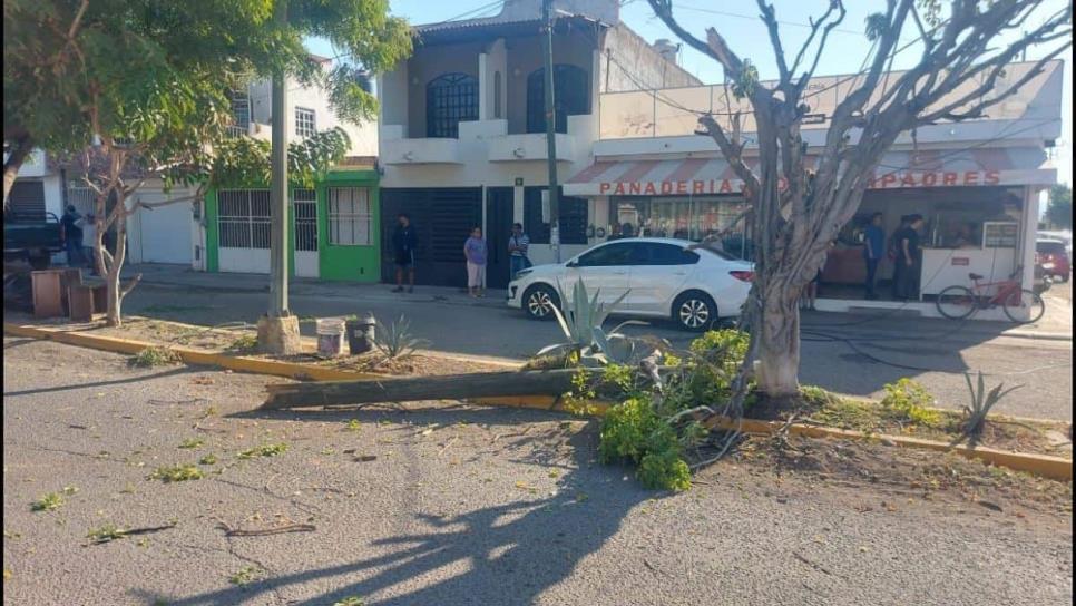 Mujer resulta lesionada tras caerle poste mientras caminaba por Villa Verde en Mazatlán 