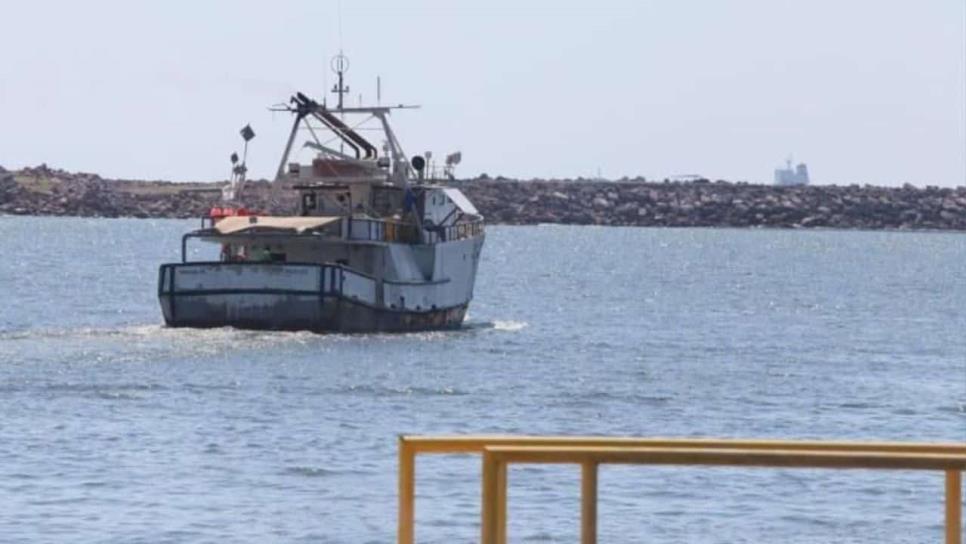 Bajas capturas de camarón afectan gravemente al sector pesquero en Mazatlán