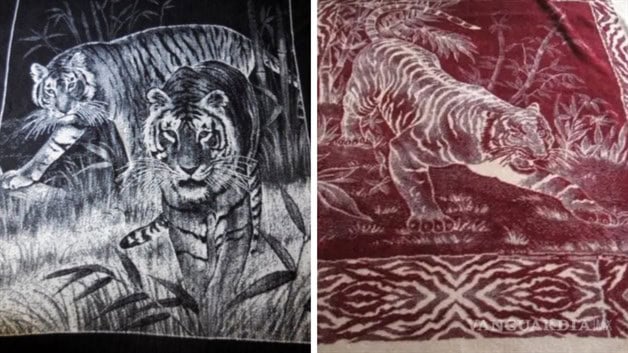 Imagen Placeholder Imagen Placeholder