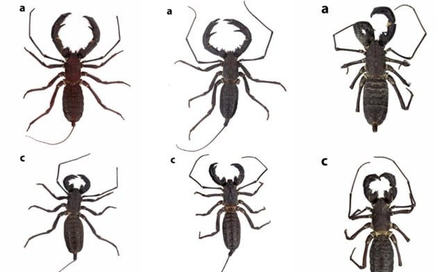 Imagen Placeholder Imagen Placeholder