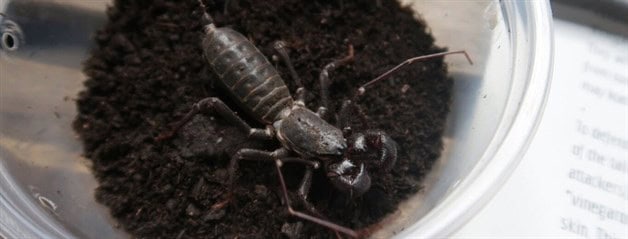 Imagen Placeholder Imagen Placeholder