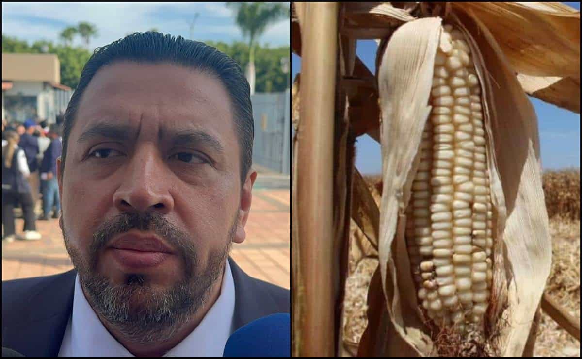 Apoyos al campo podrían liberarse antes de terminar el año: SAyG