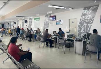 Licencia de conducir en Sinaloa con un 50% de descuento, ¿cuáles son los requisitos? 