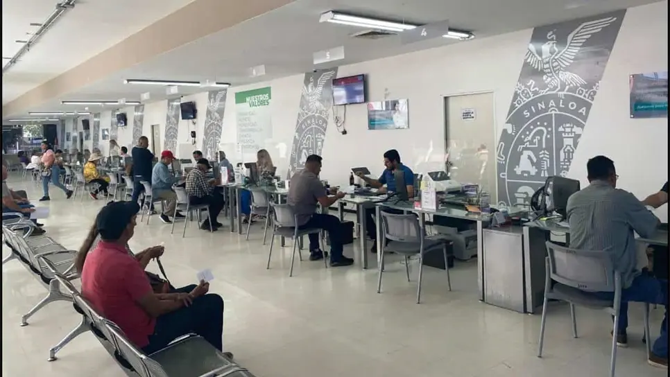 Licencia de conducir en Sinaloa con un 50% de descuento, ¿cuáles son los requisitos? 