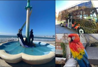 Sé un turista en tu ciudad, conoce más sobre Mazatlán en este City Tour