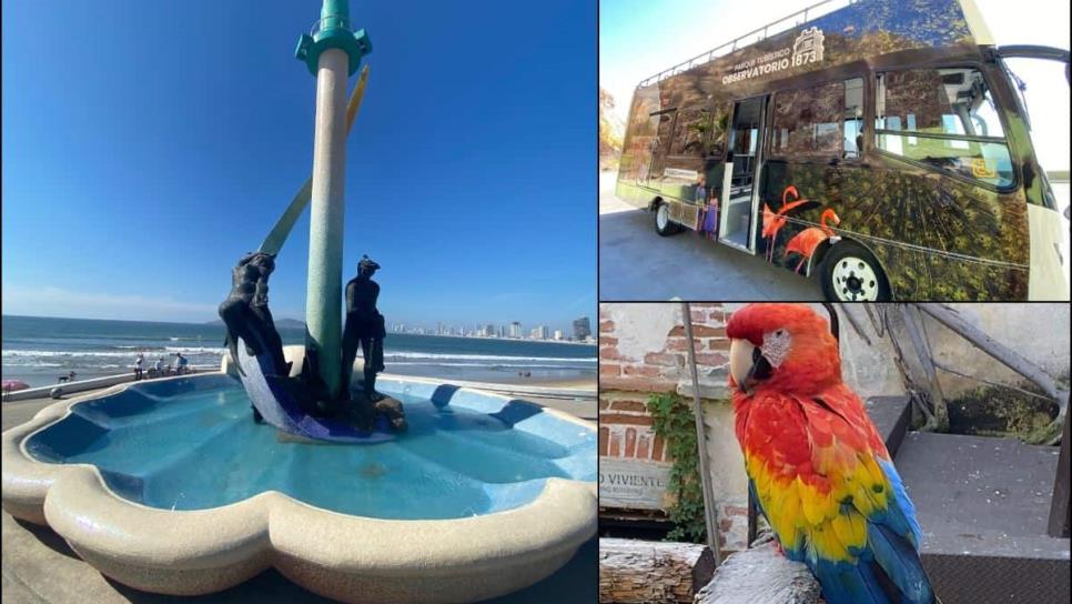 Sé un turista en tu ciudad, conoce más sobre Mazatlán en este City Tour