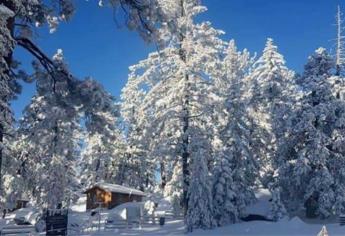 Sierra de San Pedro Mártir, “la Suiza” mexicana que se llena de nieva en Baja California