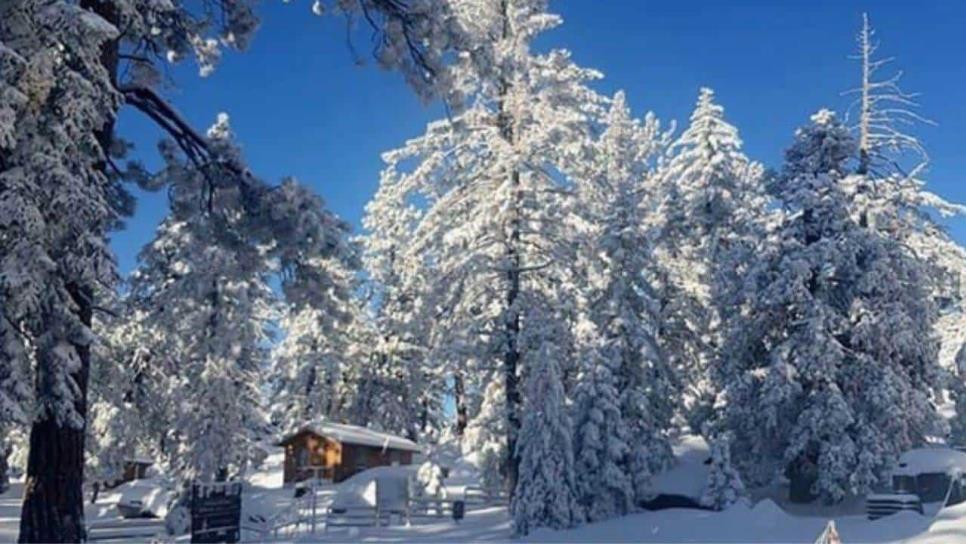 Sierra de San Pedro Mártir, "la Suiza" mexicana que se llena de nieve en Baja California