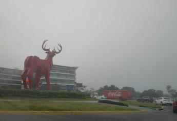 Mazatlán despierta bajo una cobija de neblina en su zona costera