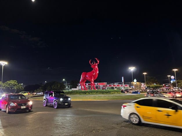 Imagen Placeholder Imagen Placeholder