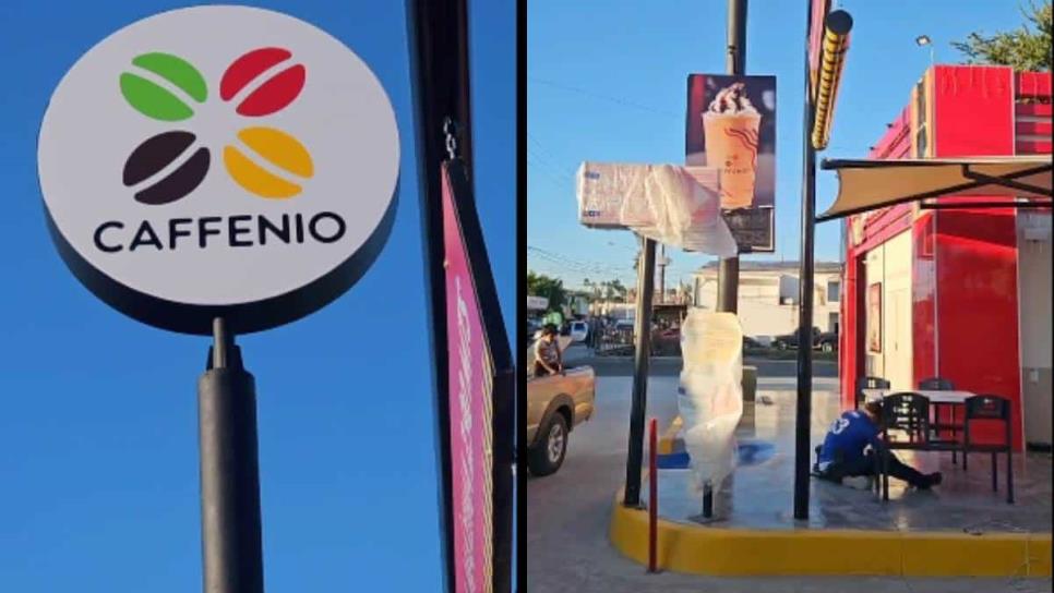 ¡Ya huele a café en Navolato! ¿Cuándo abre Caffenio en el municipio cañero? | VIDEO