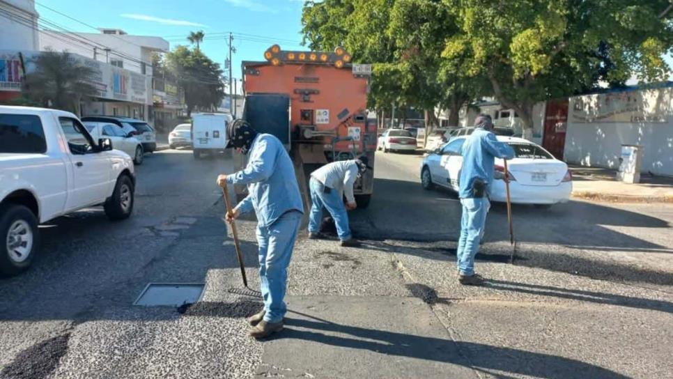 Tapan baches y hoyos en calles de Los Mochis: ¿Dónde puedo denunciar?