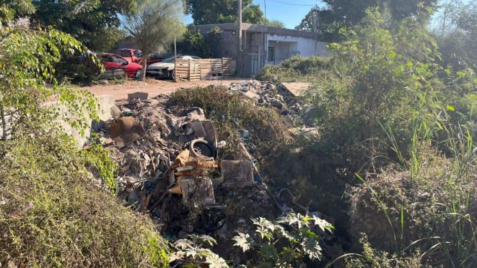 Basura en canales de Ahome, un cuento de nunca acabar