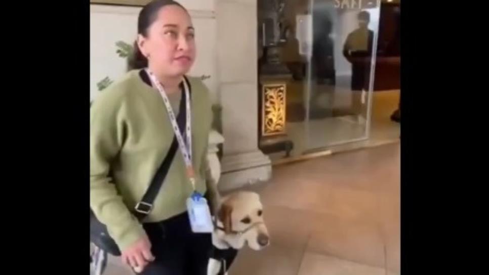 Mujer con discapacidad sufre discriminación al no permitirle el paso a un hotel con su perro guía, venía a una posada | VIDEO