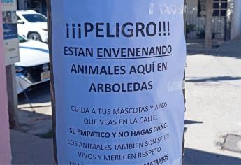 Vecinos de Las Arboledas alertan envenenamiento masivo de mascotas