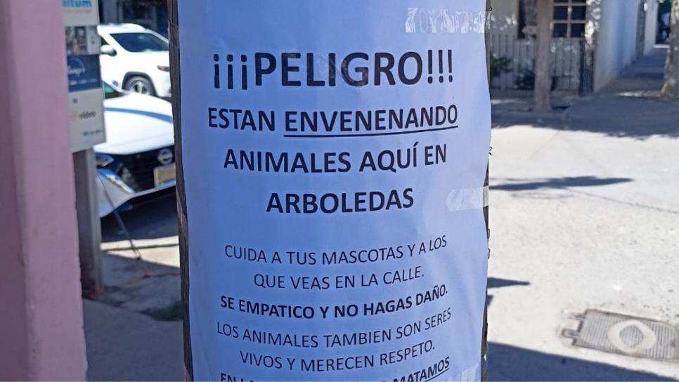 Vecinos de Las Arboledas alertan envenenamiento masivo de mascotas