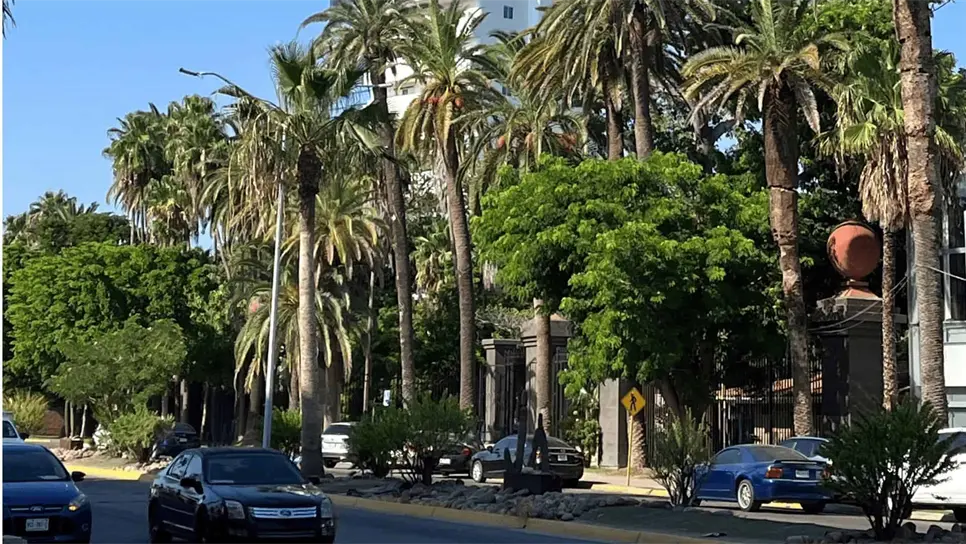 FOTO: Clima en Los Mochis.