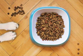 Estudio de Profeco revela cuáles son las mejores croquetas para perros