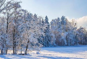 Llega el invierno 2024; ¿Nevará en Sinaloa? Aquí el pronóstico de una gélida temporada