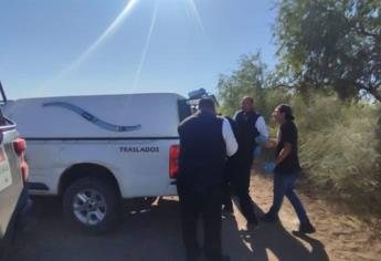 Tren arrolla y mata un jornalero agrícola en el Campo 35, Ahome