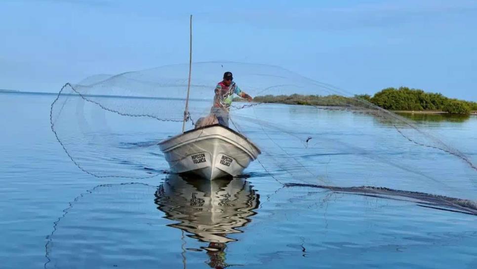 Topolobampo enfrenta complicación económica en temporada de camarón