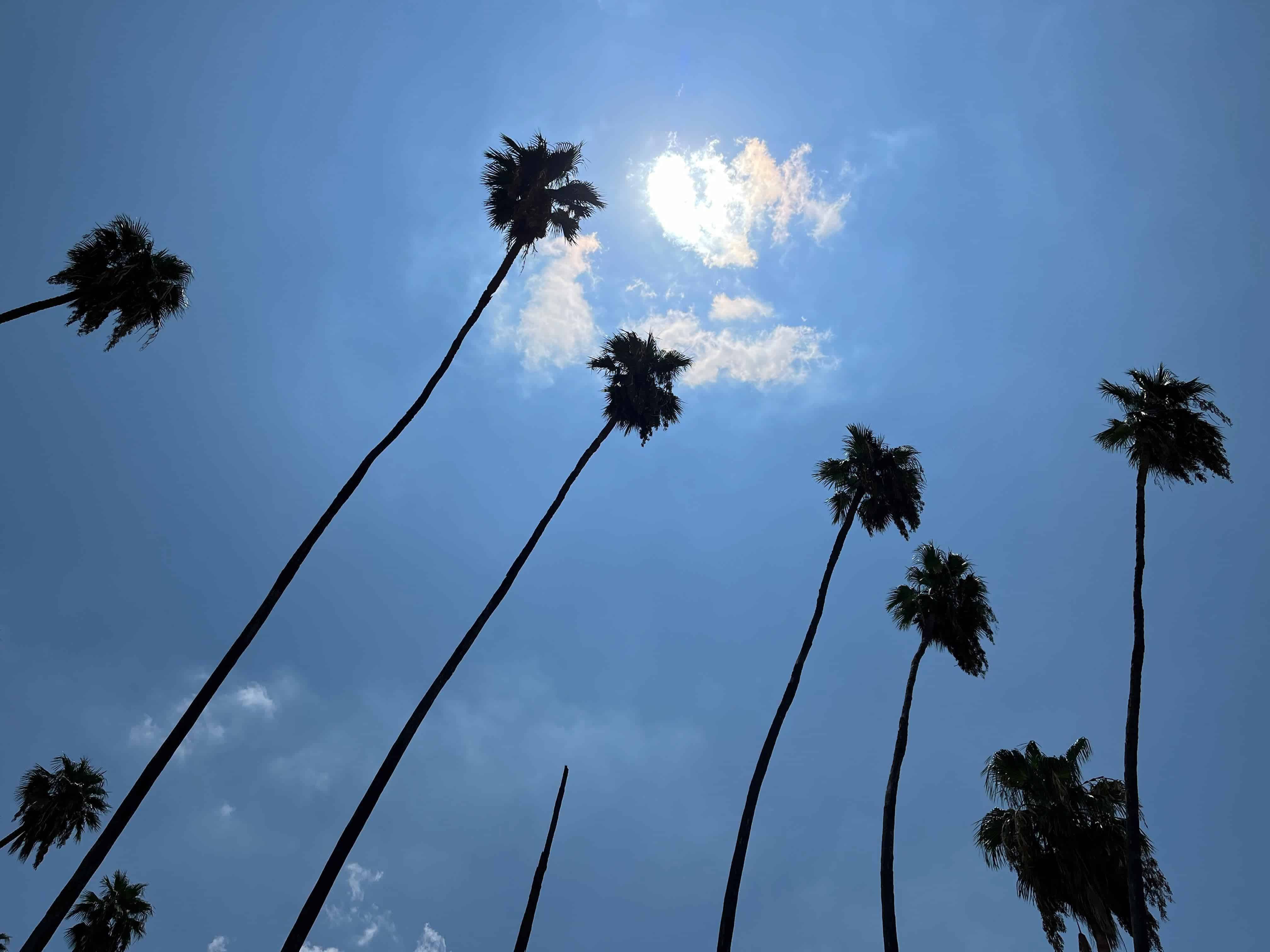 FOTO: Clima en Los Mochis.