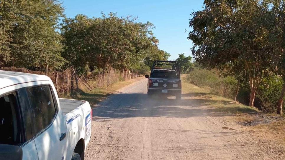 Encuentran osamenta en el poblado del Quemadito de Culiacán