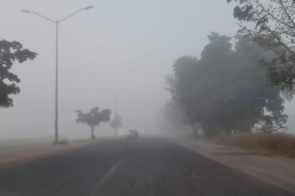 ¿Qué hacer si te sorprende la neblina en estas carreteras de Ahome?