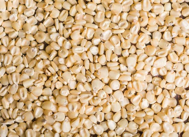 Imagen Placeholder Imagen Placeholder