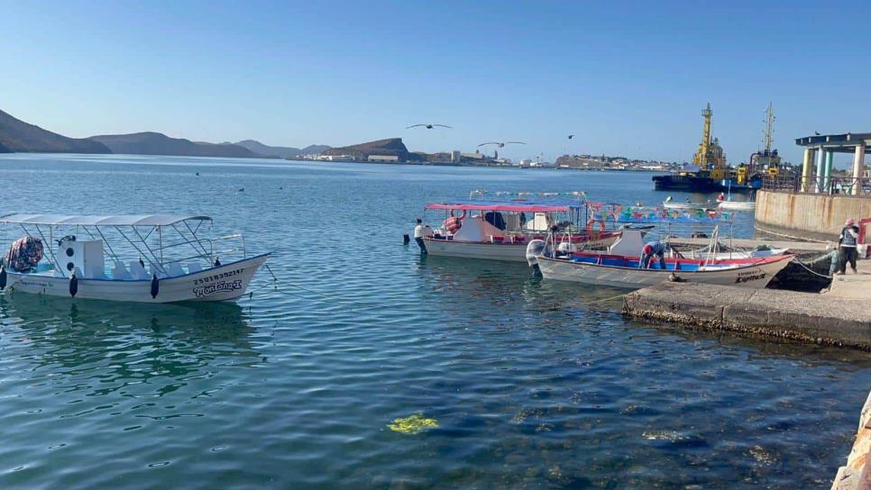 Pescadores de Topolobampo a la deriva por bajas capturas y altos costos