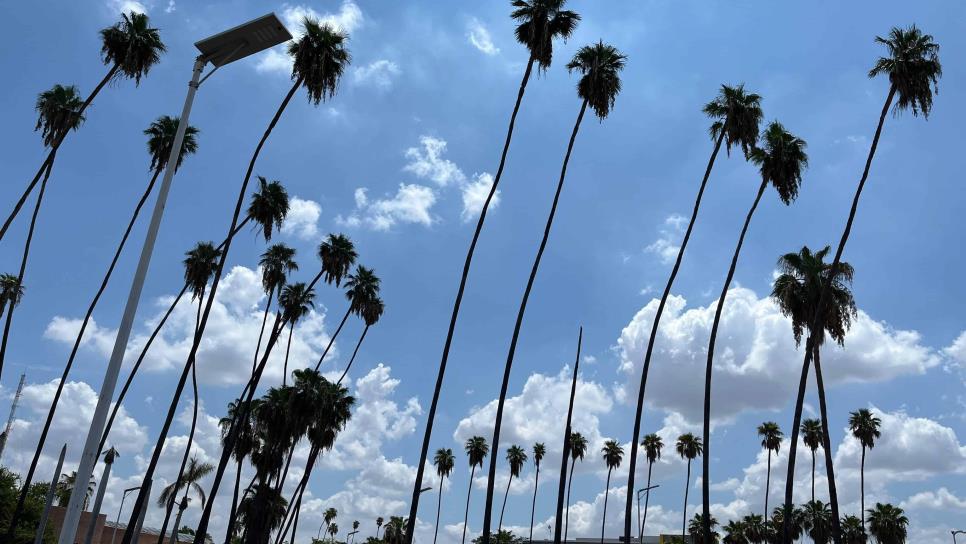 Previsión del tiempo para Año Nuevo en Los Mochis: Cielos nubosos y viento moderado